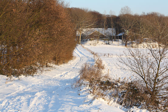 Winters plaatje in de buurt van Landgoed Mattemburgh